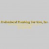 Professional Plumbing Services