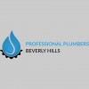 Professionals Plumbers