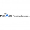 Pinnacle Plumbing Service