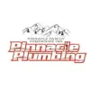 Pinnacle Plumbing