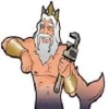 Triton Services