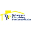 Delaware Plumbing Professionals