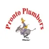Pronto Plumbers