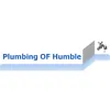 Plumbing Of Humble