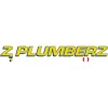 Plumbing Professors