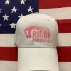 Bison Plumbing