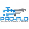 Pro-Flo Plumbing & Drain Cleaning