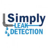 Simply Leak Detection