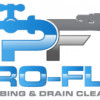 Pro-Flo Plumbing & Drain Cleaning